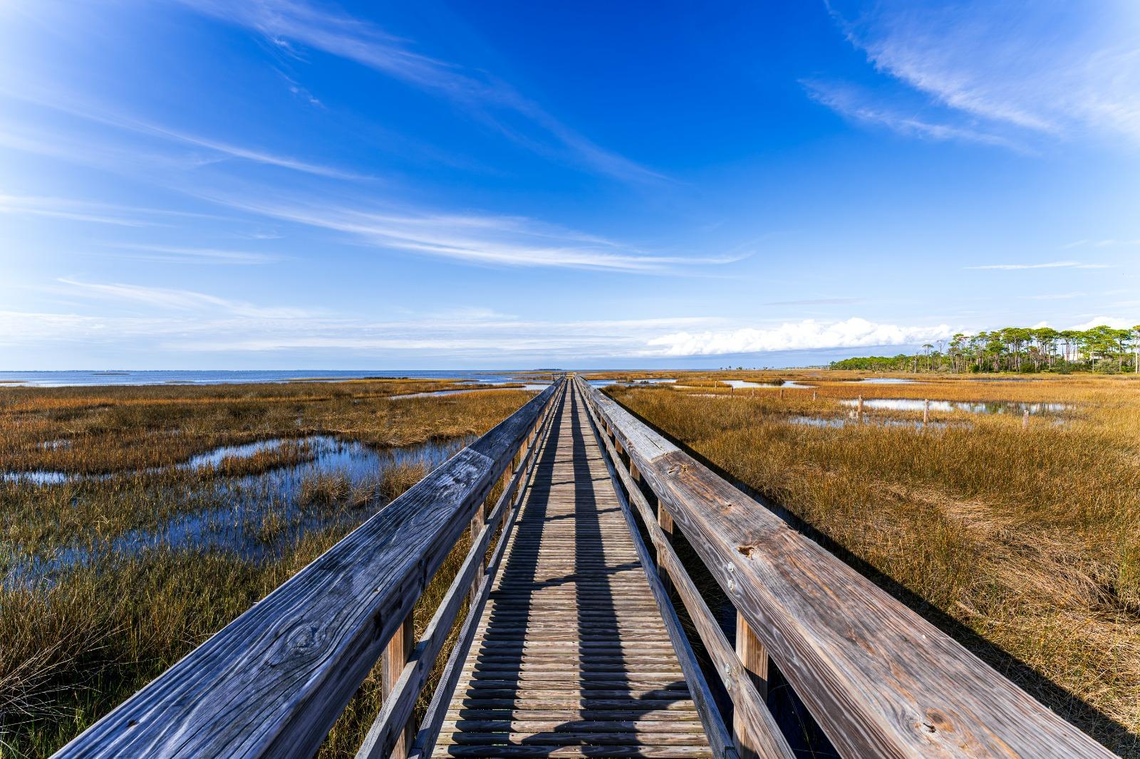 Vacation Rentals Forgotten Coast